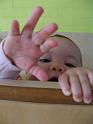 2008_02_03 (5)
